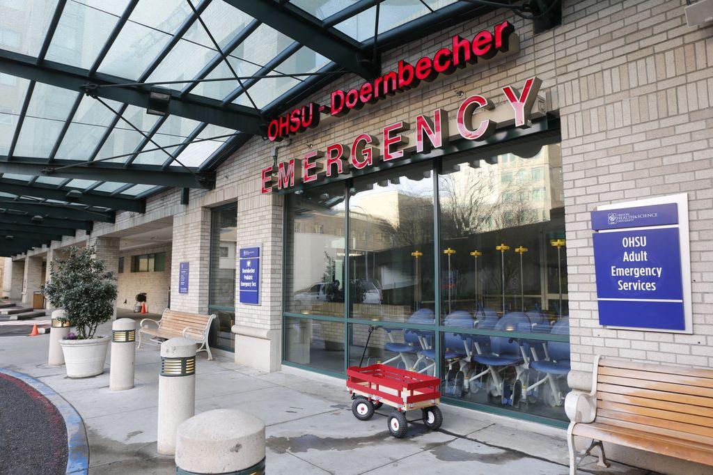 Emergency Department Boarding Bill Caught In Logjam The Lund Report